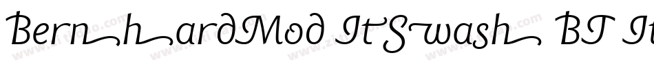 BernhardMod ItSwash BT Italic Swash字体转换